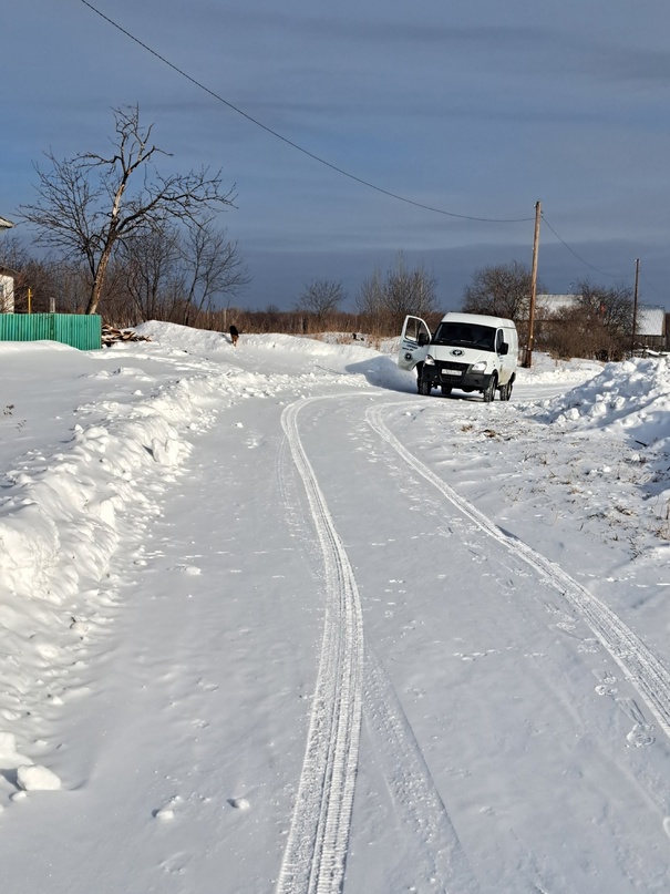 Отлов бродячих собак.