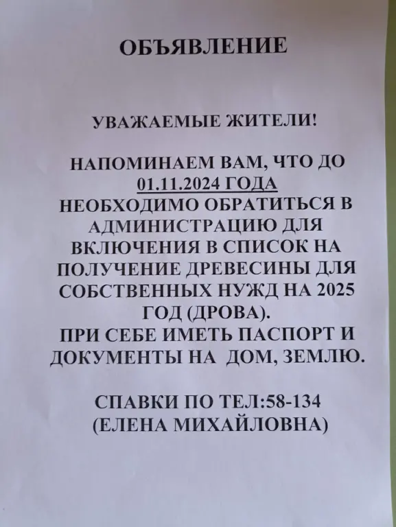 срок подачи заявлений на древесину на 2025 год.