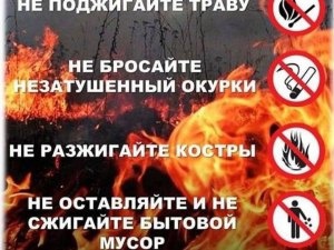 Наступил пожароопасный период.